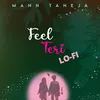 About Feel Teri Lo-Fi Song